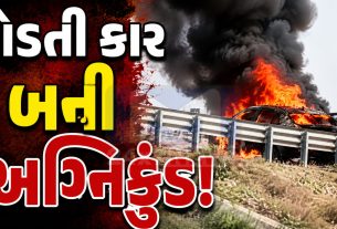 Vadodara accident:દોડતી કાર બની અગ્નિકુંડ, એકનું કરુણ મોત