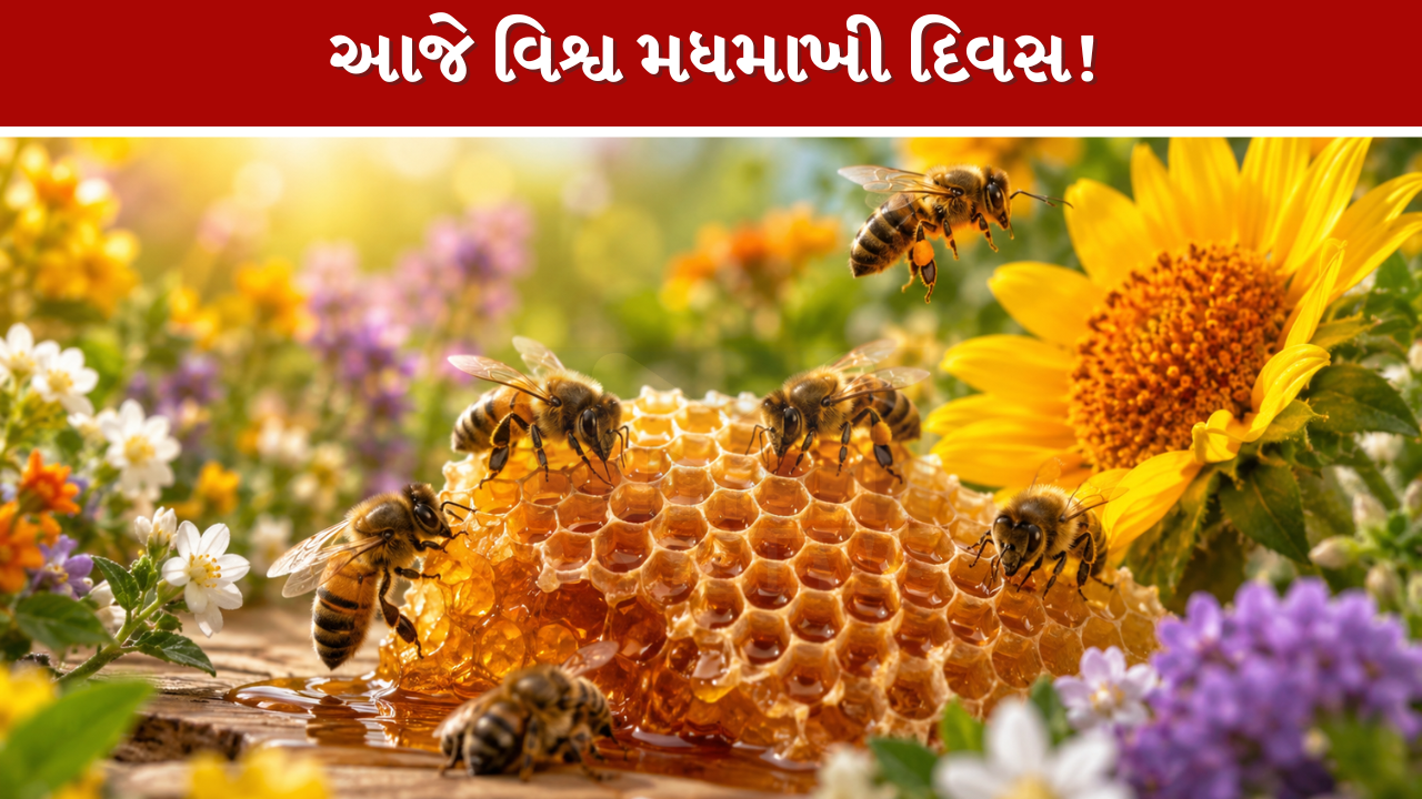 World Bee Day