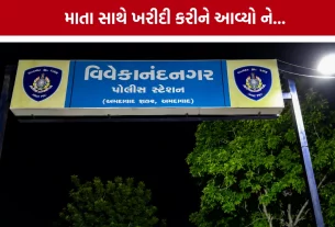Ahmedabad Daskroi Hit and Run:
