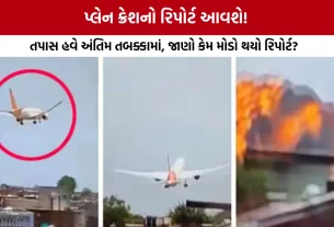 Ahmedabad Plane Crash Report