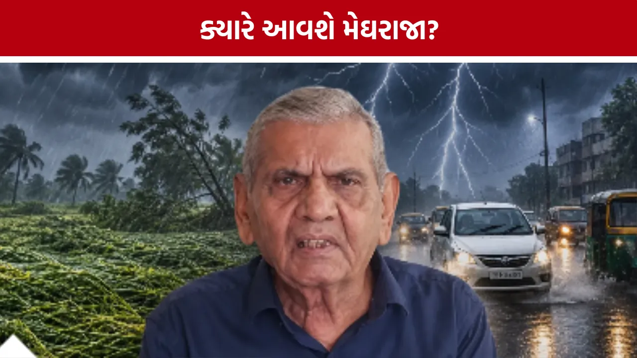 Ambalal Patel Forecast