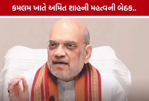 Amit Shah Kamalam Meeting Gandhinagar