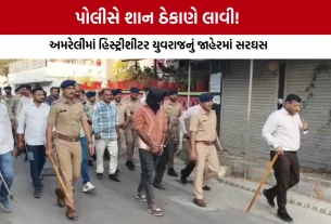 Amreli Police Action