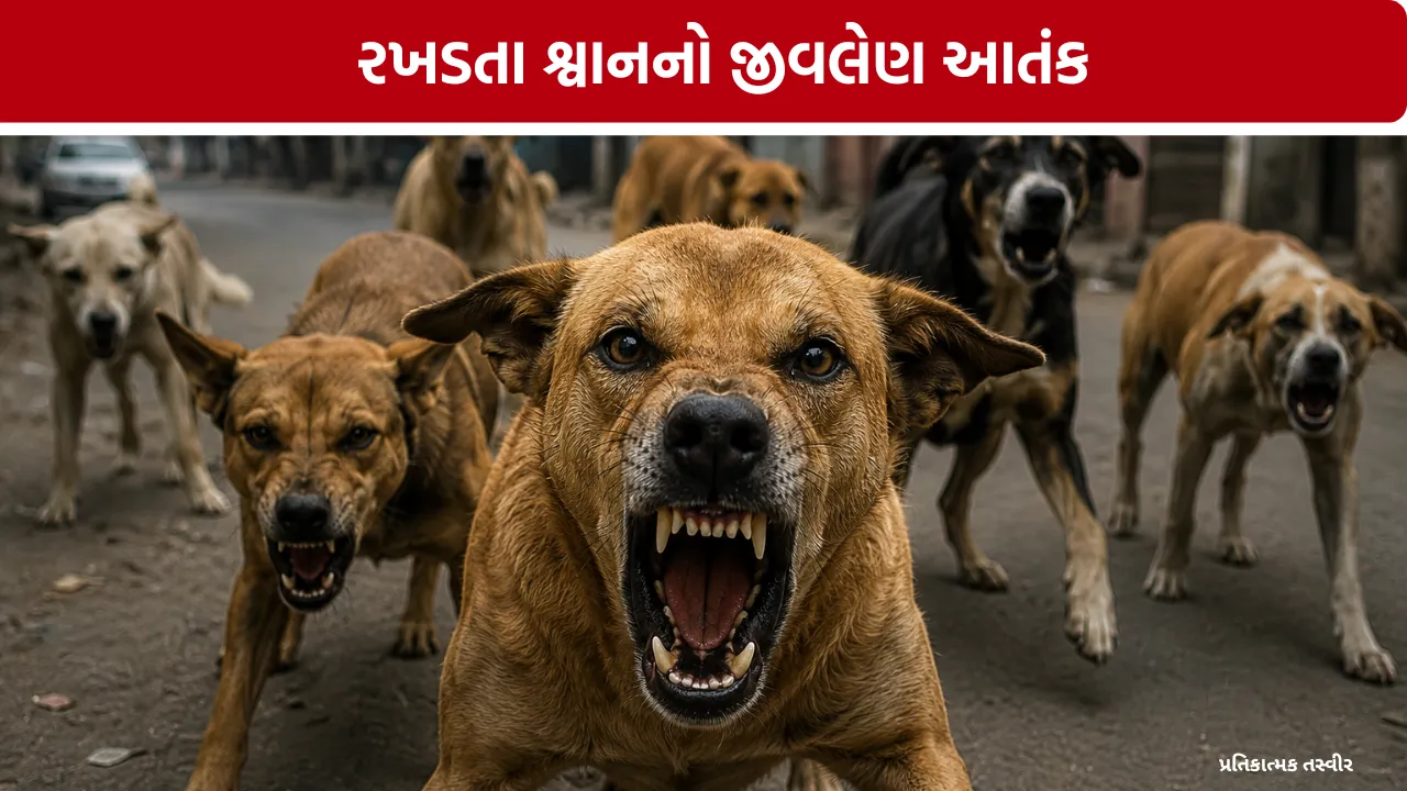 Amreli Stray Dog Attack