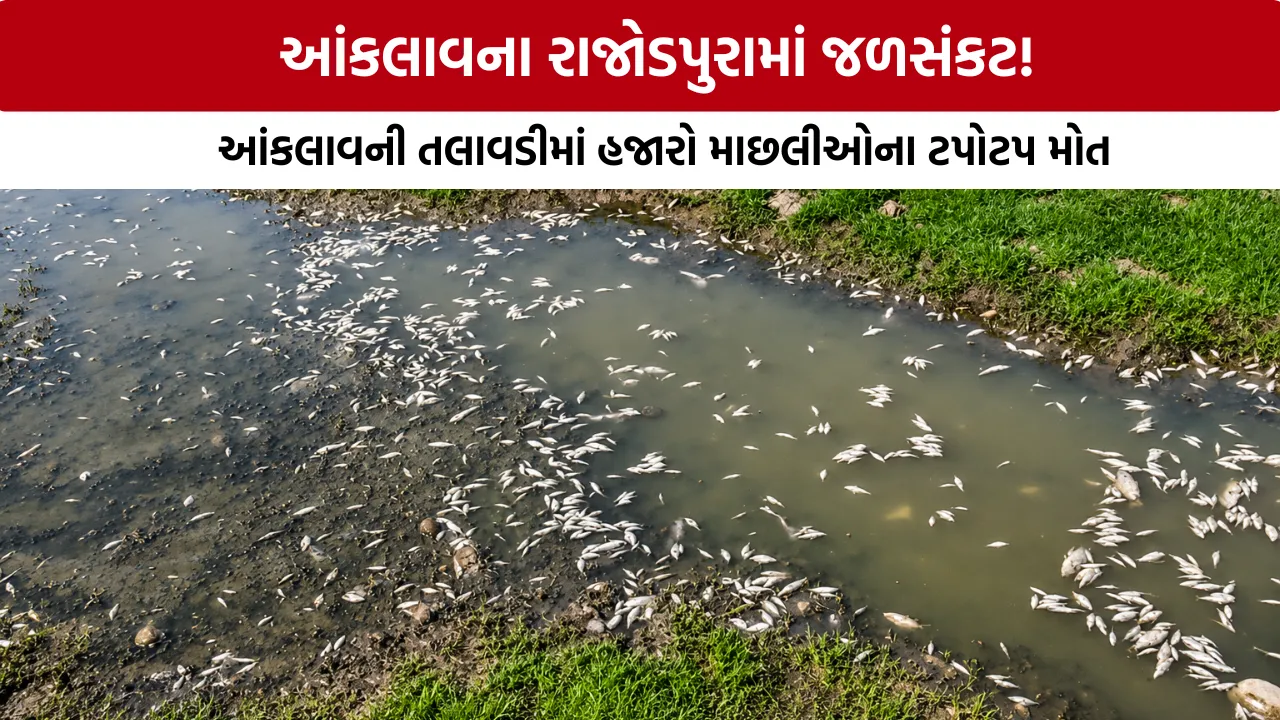 Rajodpura Fish Death Anand: