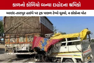 Anand Tarapur Highway Accident