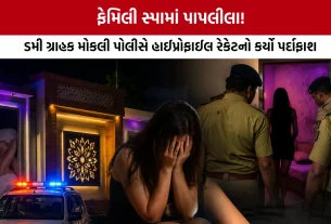 Aravalli Modasa Shamlaji Road Spa Raid