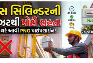 વૈશ્વિક ઊર્જા સંકટ વચ્ચે દેશમાં નોંધાયેલા કુલ નવા પીએનજી (PNG Gas) કનેક્શનમાં એકલું ગુજરાત 14.6 ટકાની સર્વોચ્ચ હિસ્સેદારી સાથે મોખરે રહ્યું છે