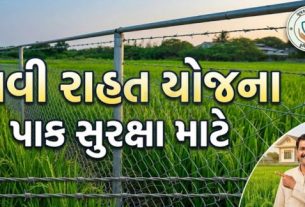રાજ્યના ખેડૂતોના પાકને પશુઓ અને વન્ય પ્રાણીઓથી થતા નુકસાનને અટકાવવા માટે ‘કાંટાળી તારની વાડની યોજના’ એટલે કે, તાર ફેન્સિંગ (Tar Fencing)યોજનાના નિયમોમાં ખેડૂતહિતલક્ષી સુધારા કરવાનો મહત્વપૂર્ણ નિર્ણય લેવામાં આવ્યો છે.