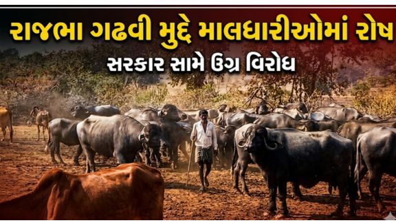 ગીર વિસ્તારમાં માલધારી (Maldhari)તરીકે માન્યતા મેળવવાના મામલે ફરી એકવાર વિવાદ ઊભો થયો છે