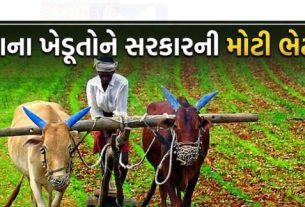 મુખ્યમંત્રી ભૂપેન્દ્ર પટેલના નેતૃત્વ હેઠળ ગુજરાત સરકાર દ્વારા રાજ્યના ખેડૂતો (Farmers)ની સમૃદ્ધિ અને કૃષિ ઉત્પાદનોના ઝડપી પરિવહન માટે એક ખેડૂત હિતલક્ષી નિર્ણય લેવામાં આવ્યો છે