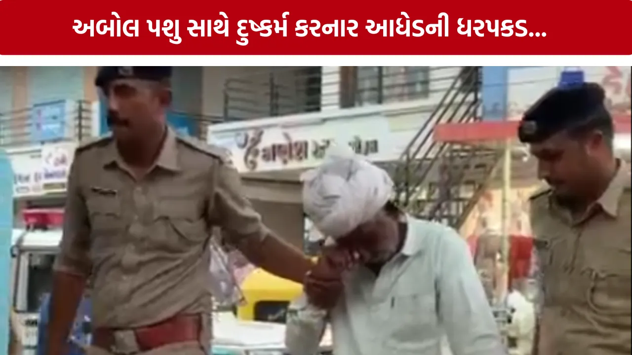 Diodar Animal Cruelty Case