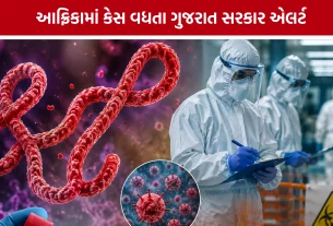 Ebola Virus Gujarat Alert