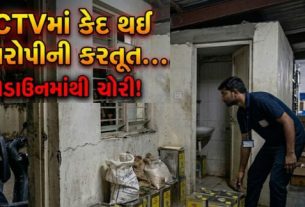 અમદાવાદમાં ઓનલાઇન ગ્રોસરી કંપનીના સ્ટોરમાં કામ કરતા જ કર્મચારી દ્વારા ચોરી(Theft)નો ચોંકાવનારો બનાવ સામે આવ્યો છે