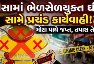 બનાસકાંઠા જિલ્લાના ડીસા શહેરમાં ફૂડ એન્ડ ડ્રગ્સ વિભાગે નકલી ઘી (Fake Ghee)ના કાળા કારોબાર સામે મોટી કાર્યવાહી હાથ ધરી છે