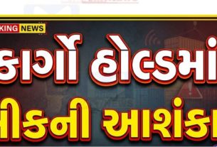 કચ્છના દીનદયાળ પોર્ટ (કંડલા પોર્ટ) (Kandla Port)ખાતે આજે એક ગંભીર દુર્ઘટના (Fatal Accident) સર્જાઈ હતી