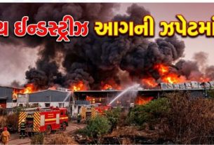 ગાંધીનગર જિલ્લાના સાંતેજ વિસ્તારમાં આવેલી એક કેમિકલ કંપનીમાં આજે ભીષણ આગ (Fire)લાગવાની ઘટના સામે આવી છે