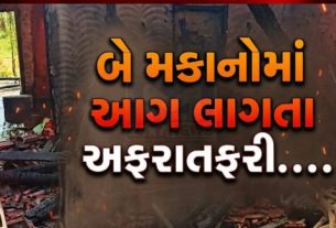 પંચમહાલ જિલ્લાના ભદ્રાલા ગામમાં આગ (Fire)ની ઘટનાને પગલે ભારે અફરાતફરીનો માહોલ સર્જાયો હતો