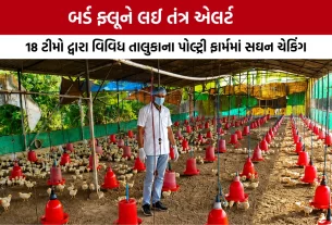 Bird Flu Alert in Gandhinagar