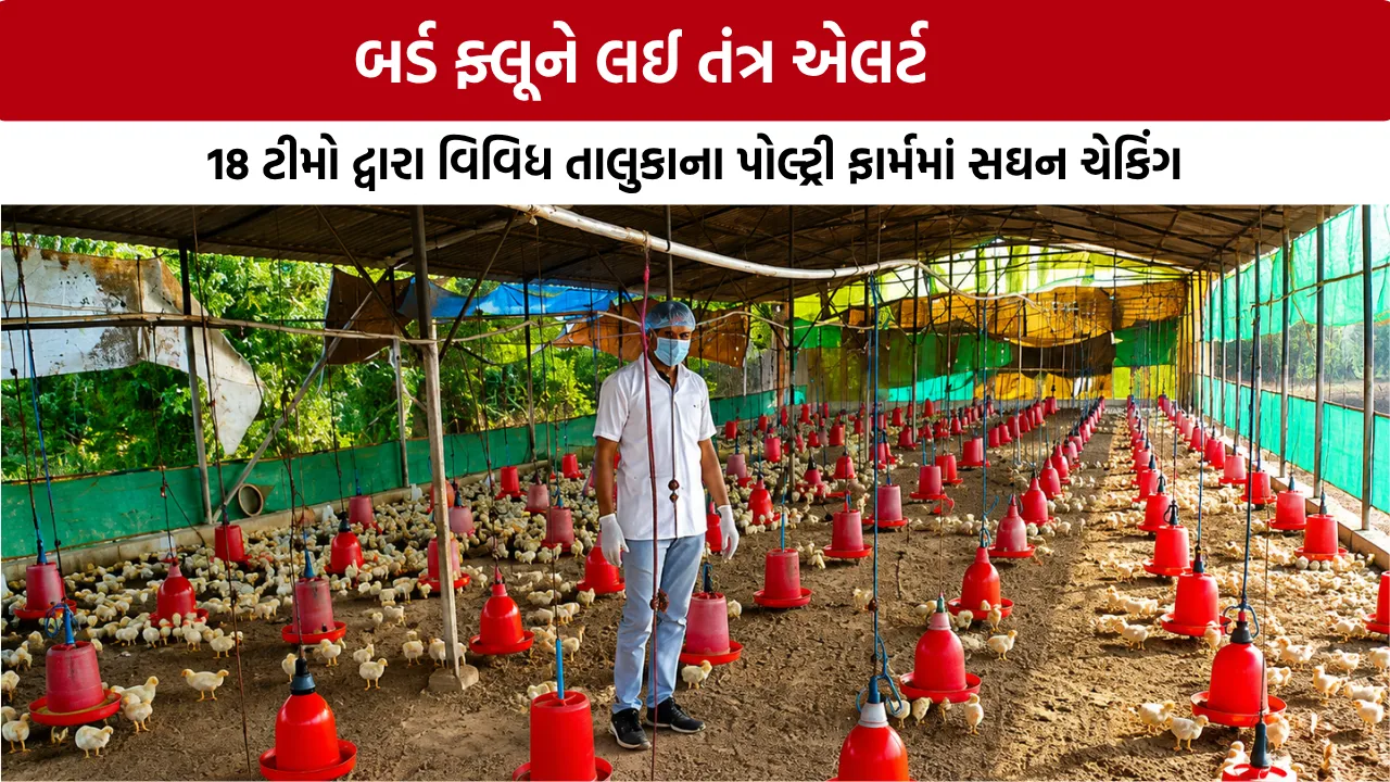 Bird Flu Alert in Gandhinagar
