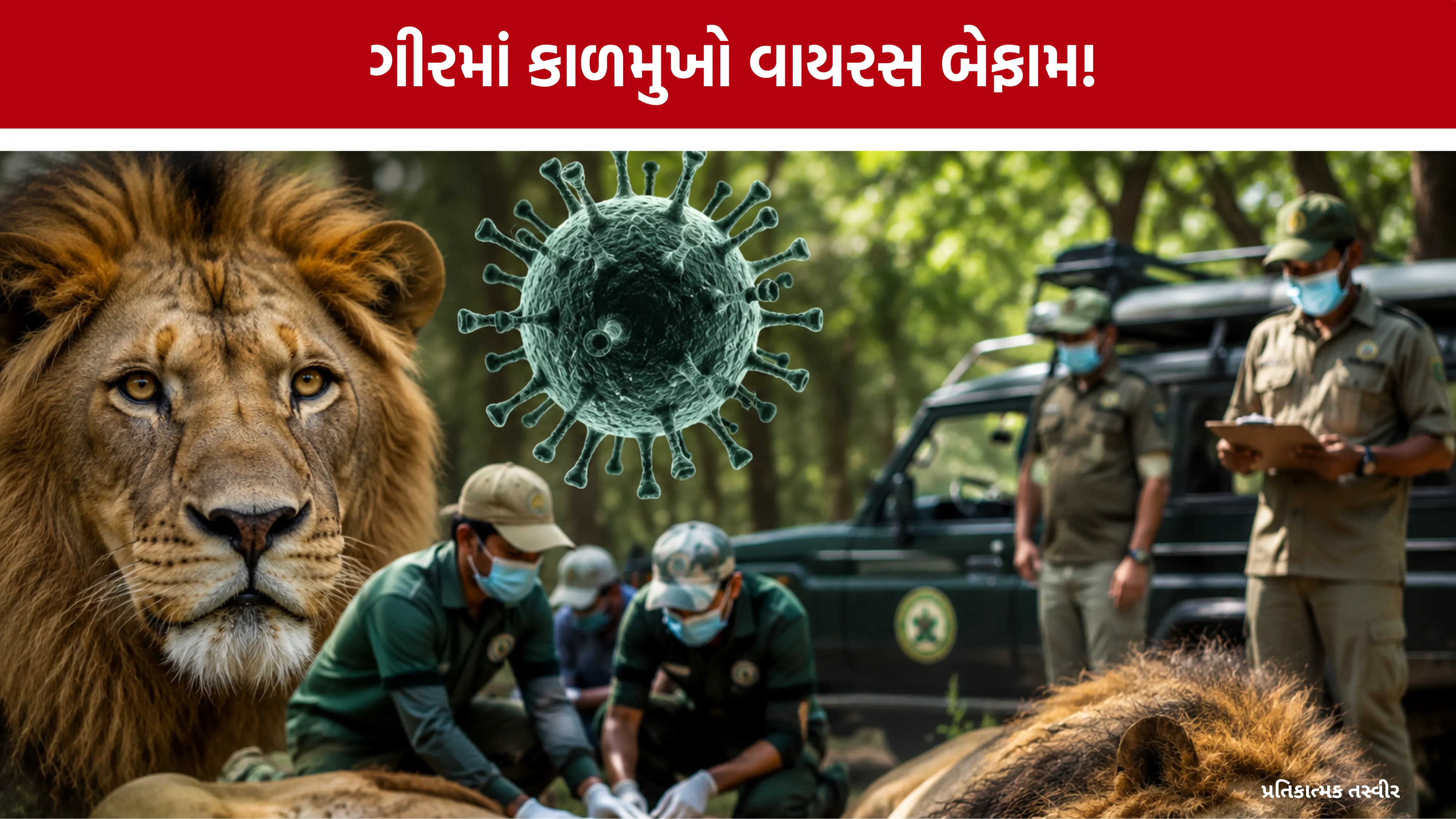 Gir Lion Death CDV Virus