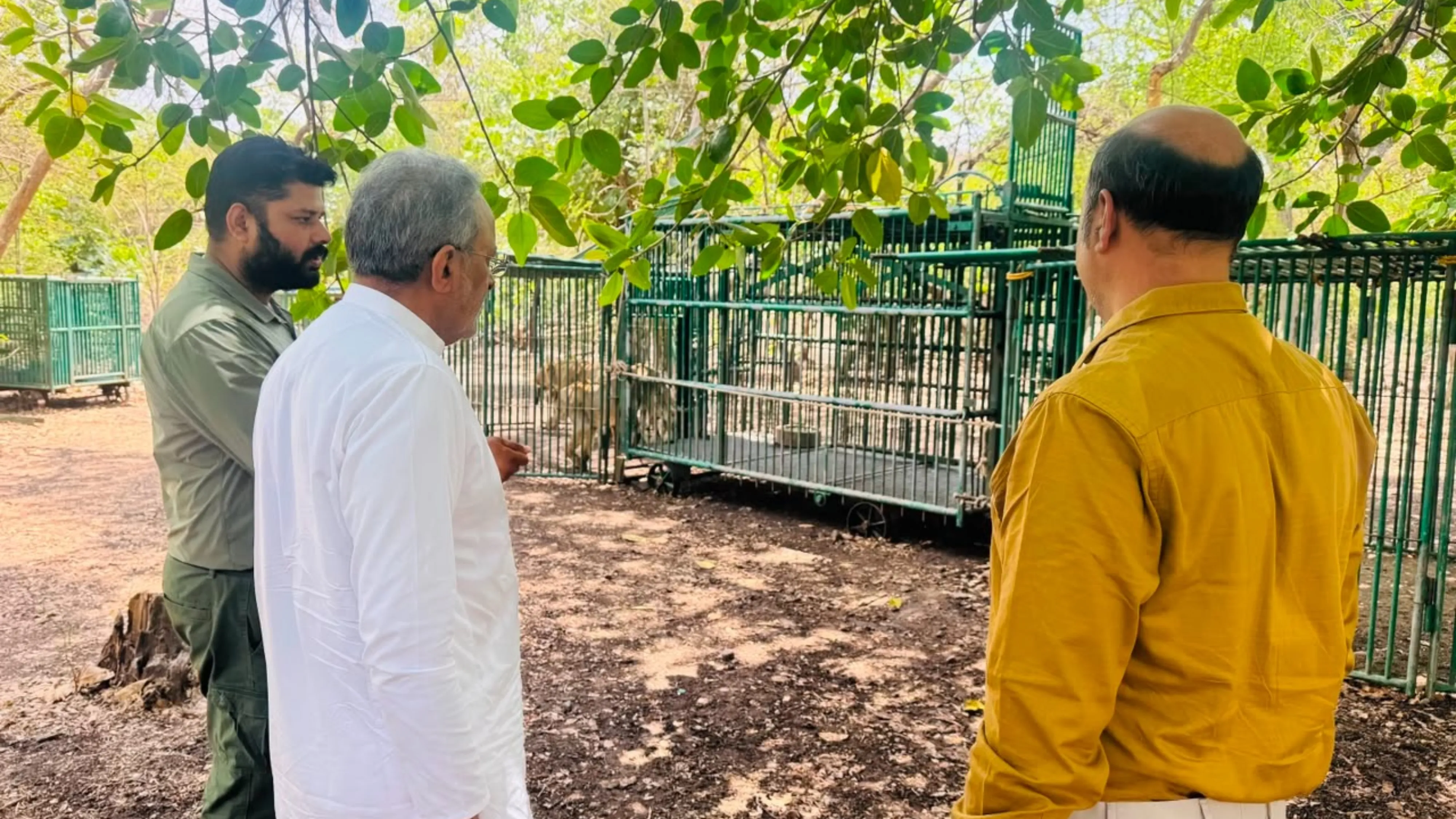 Arjun Modhwadia Gir Visit