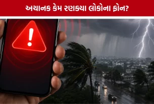 Government Emergency Alert System