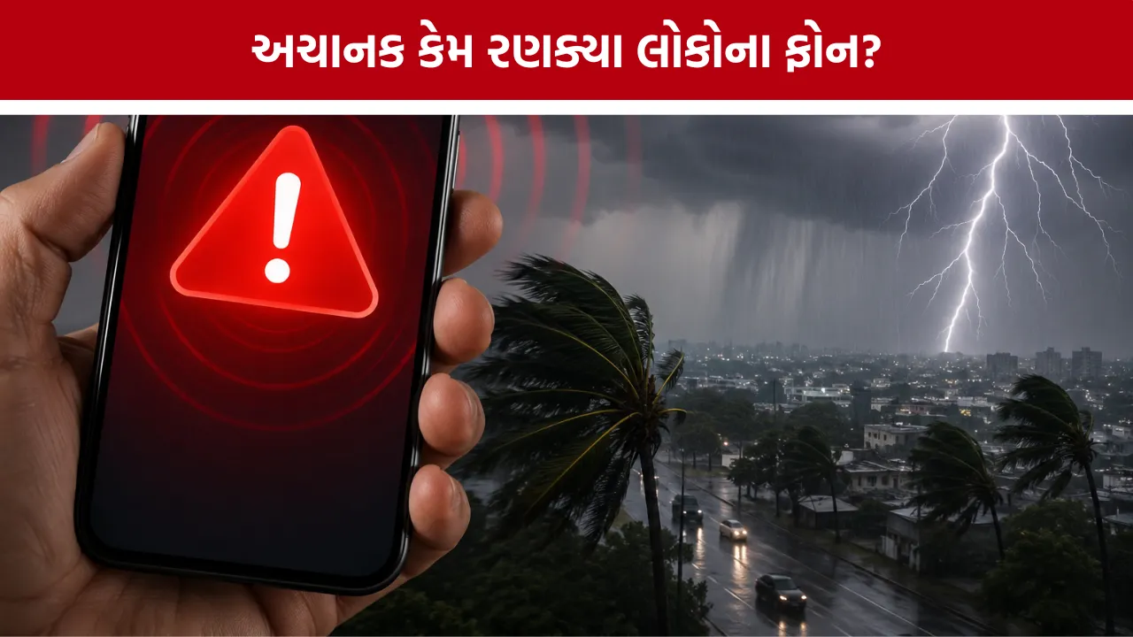 Government Emergency Alert System