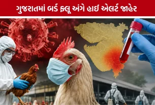 Bird Flu Alert Gujarat