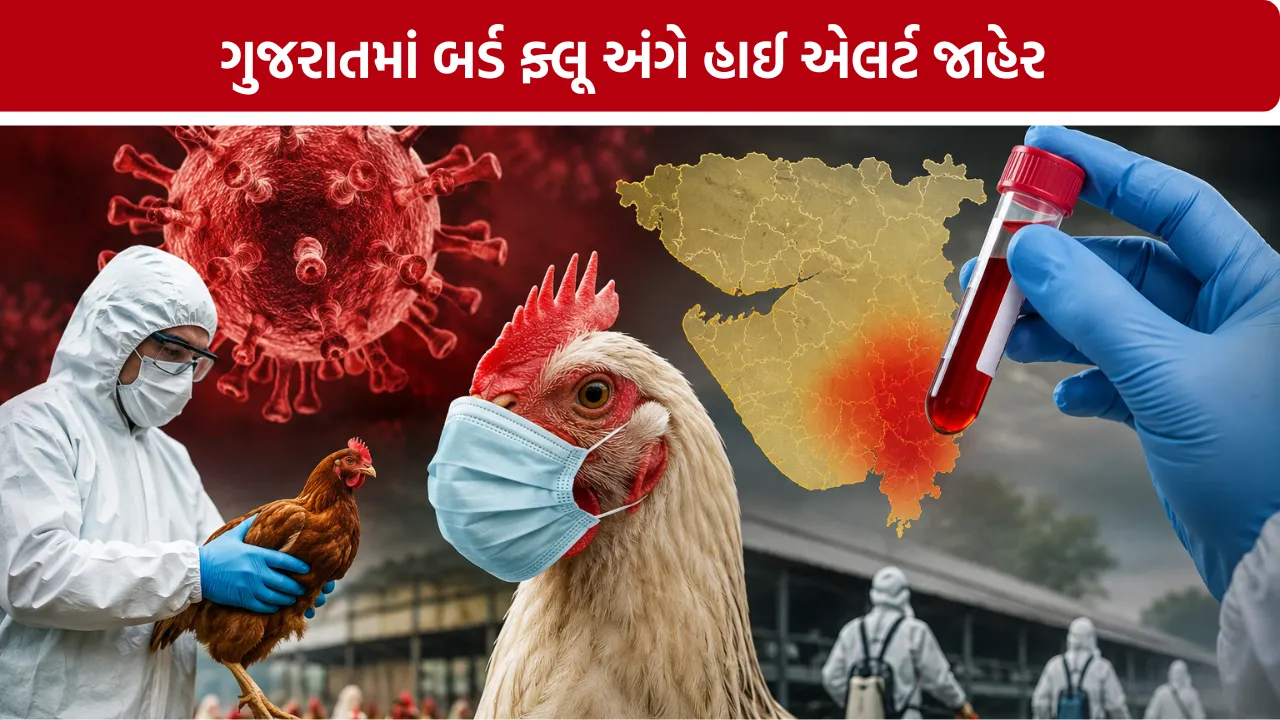 Bird Flu Alert Gujarat