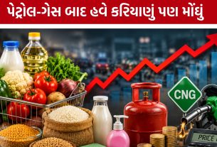 Gujarat Inflation:દૂધ, ગેસ, પેટ્રોલથી શાકભાજી સુધી ભાવવધારો