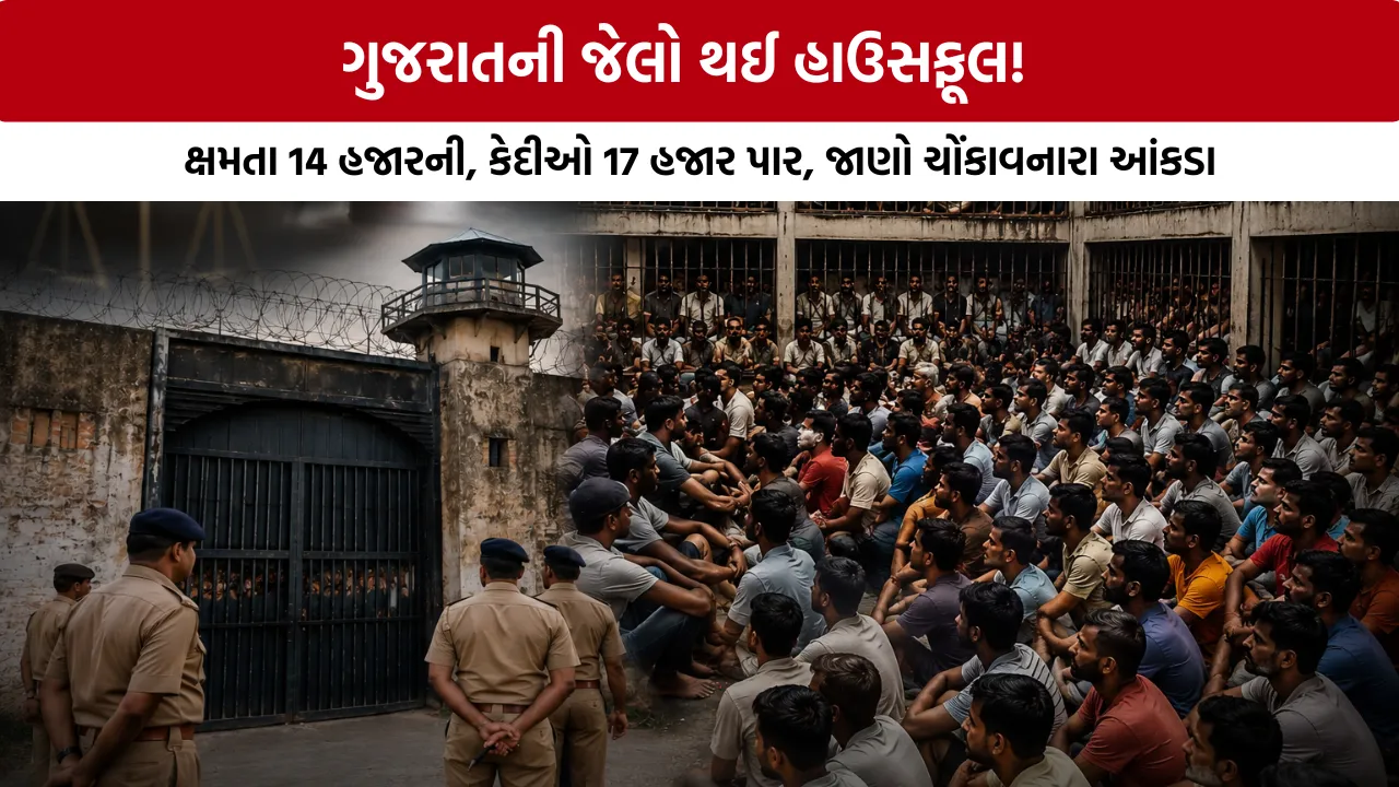 Gujarat Jail Inmates Data