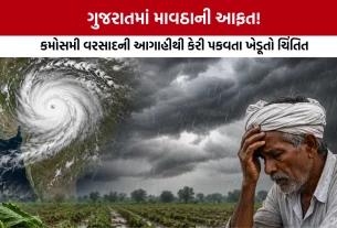Gujarat Weather Forecast