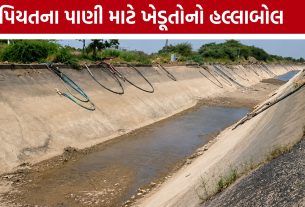 Halvad Farmers Protest: હળવદમાં પાણી માટે ખેડૂતો રસ્તા પર