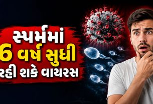 Hantavirus પુરુષોના સ્પર્મમાં 71 મહિના સુધી જીવિત રહી શકે