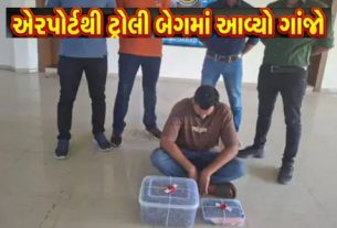 અમદાવાદ શહેરમાં હાઈબ્રિડ ગાંજા (Hybrid Ganja) વધતા નેટવર્ક વચ્ચે SOG ક્રાઈમ બ્રાન્ચે મોટી કાર્યવાહી કરી છે