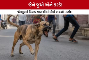 Jetpur Stray Dog Attack News