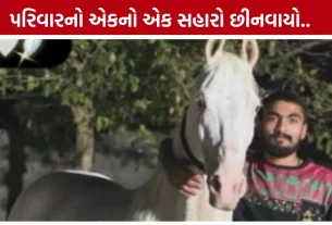 Junagadh Youth Brain Stroke Video