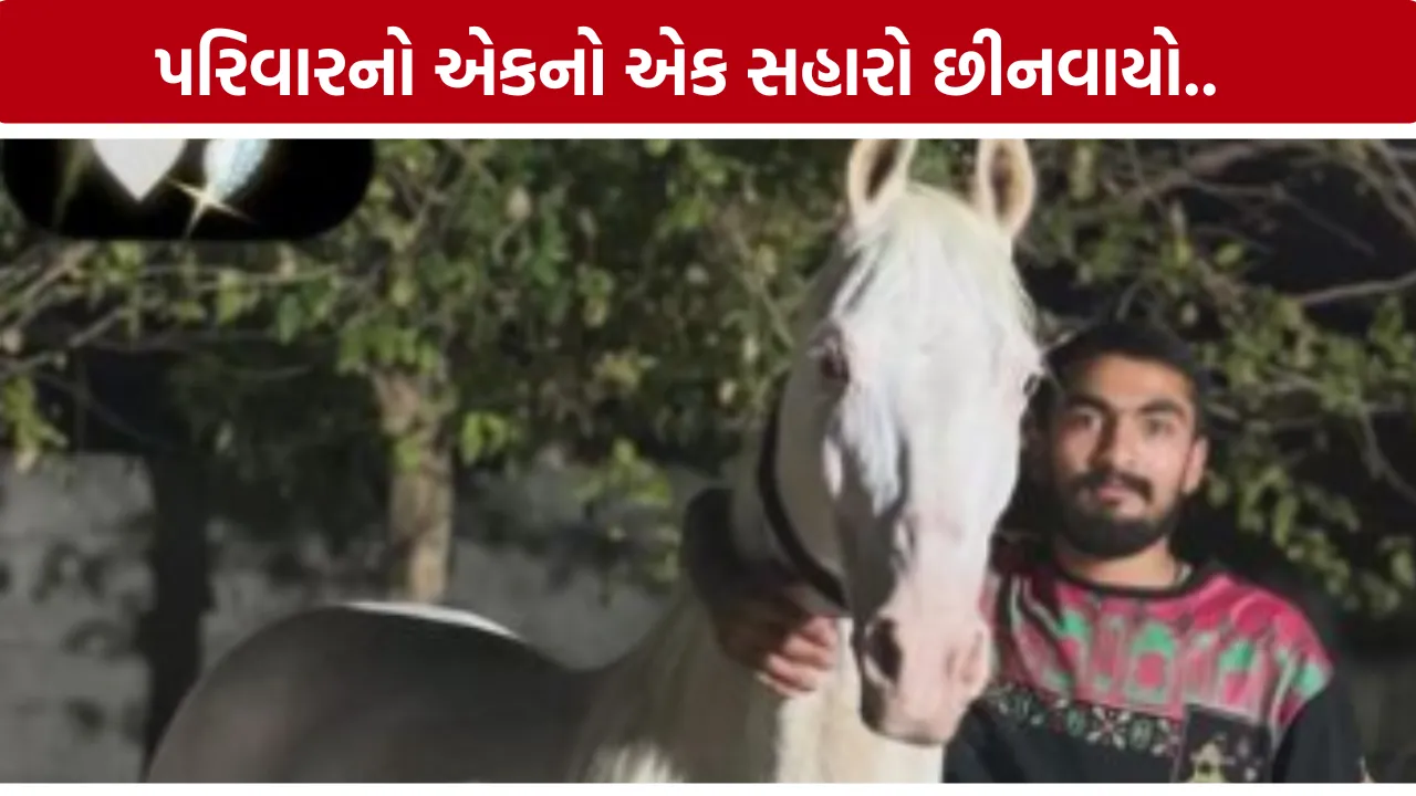 Junagadh Youth Brain Stroke Video