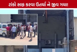 Kalol GIDC Accident