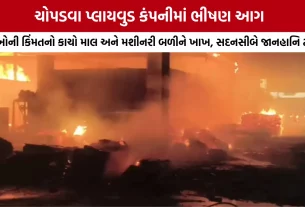 Kutch Chopadva Plywood Company Fire