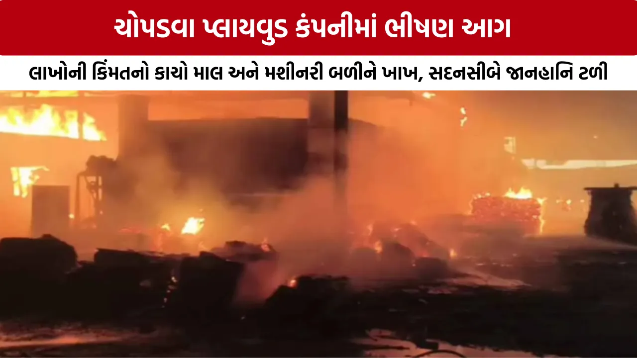 Kutch Chopadva Plywood Company Fire