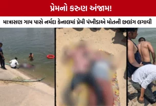 Mehsana Becharaji Canal Suicide