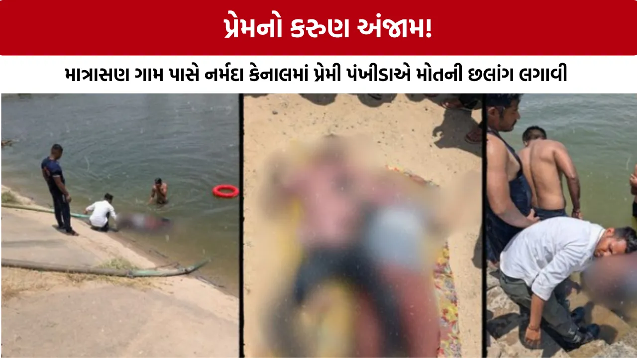 Mehsana Becharaji Canal Suicide