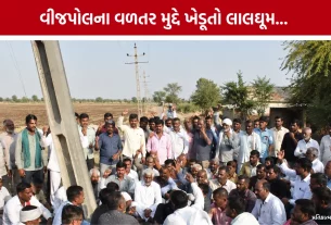 Halvad Sapakda Farmers Protest