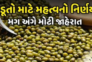 વર્ષ 2025-26ના ઉનાળુ મગ (Moong)ની ટેકાના ભાવે ખરીદી કરવા માટે આવતીકાલ તા. 27 મે,2026થી ખેડૂતોની ઓનલાઇન નોંધણી પ્રક્રિયા શરૂ થશે