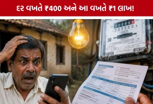 Palanpur UGVCL Light Bill Blunder