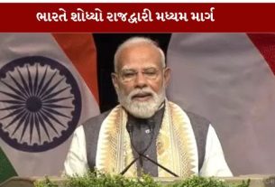 PM Modi હાલમાં Netherlandsના પ્રવાસે છે.