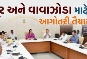 વડોદરા જિલ્લાના કલેક્ટર Anil Dhameliyaના અધ્યક્ષસ્થાને કલેક્ટર કચેરી ખાતે પ્રી-મોન્સૂન (Pre Monsoon) તૈયારીઓ અંગે મહત્વપૂર્ણ સમીક્ષા બેઠક યોજાઈ હતી