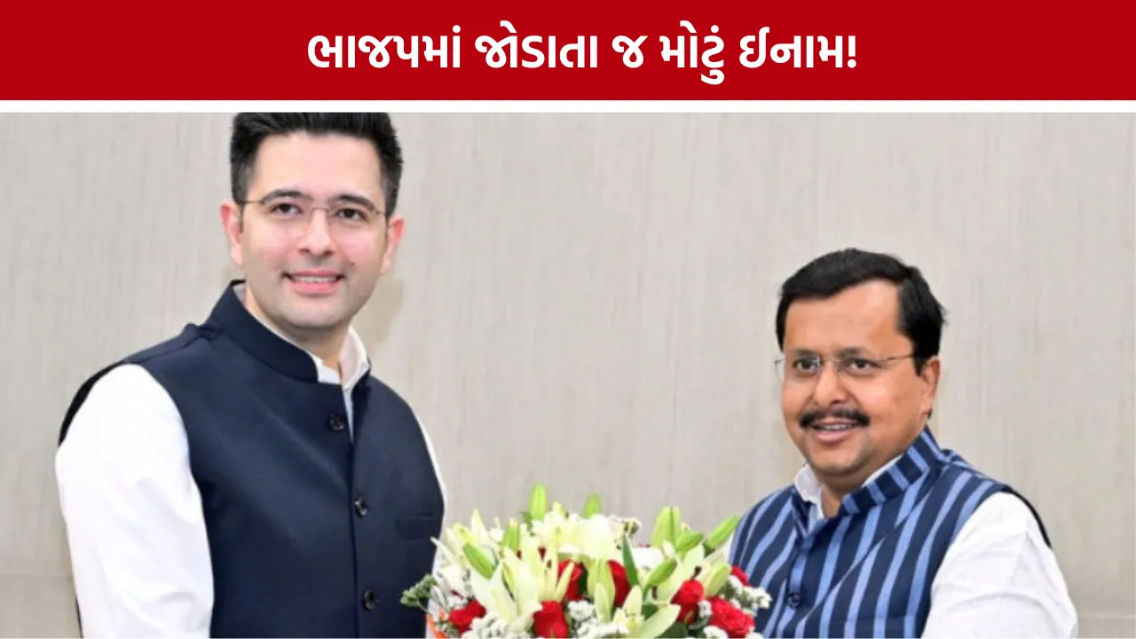 Raghav Chadha Committee on Petitions Chairman: